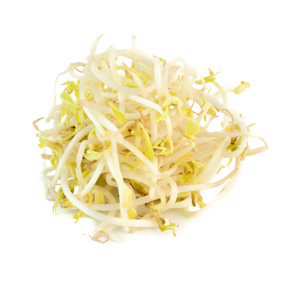 GERMEN DE SOYA.