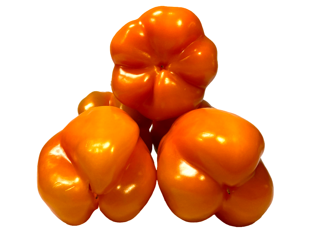 PIMIENTO NARANJA