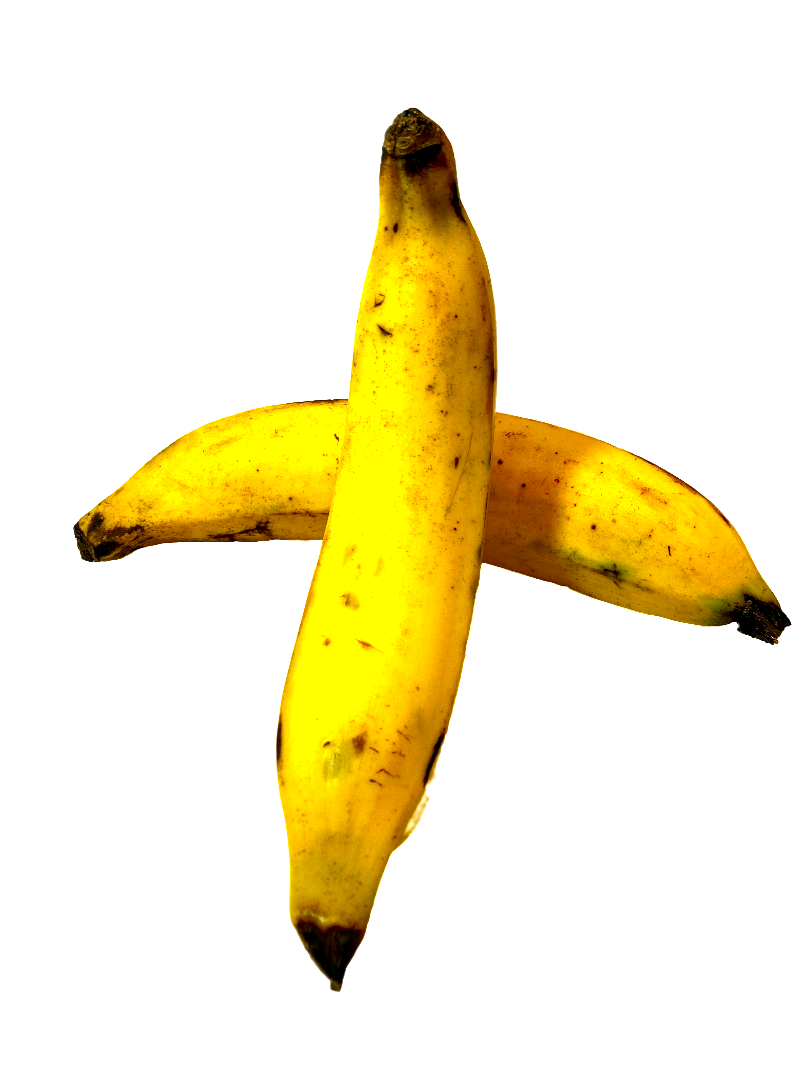 PLATANO MACHO