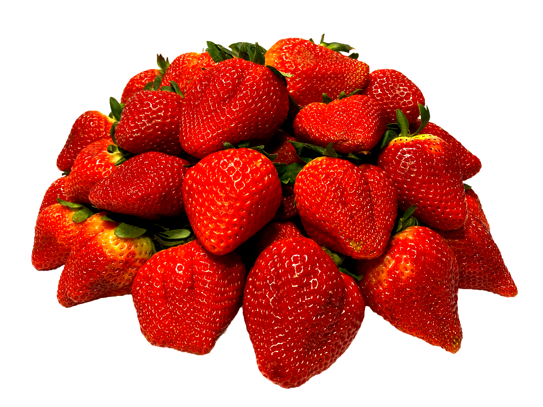 FRESA
