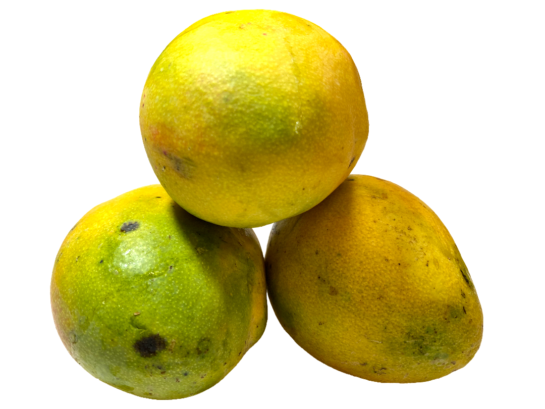 MANGO HEYDI