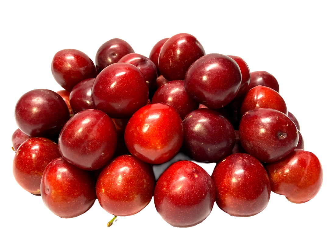 CIRUELA MOSCATEL