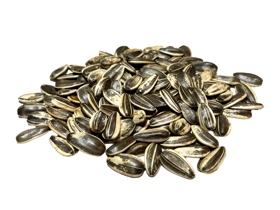 SEMILLA DE GIRASOL 1/20KG