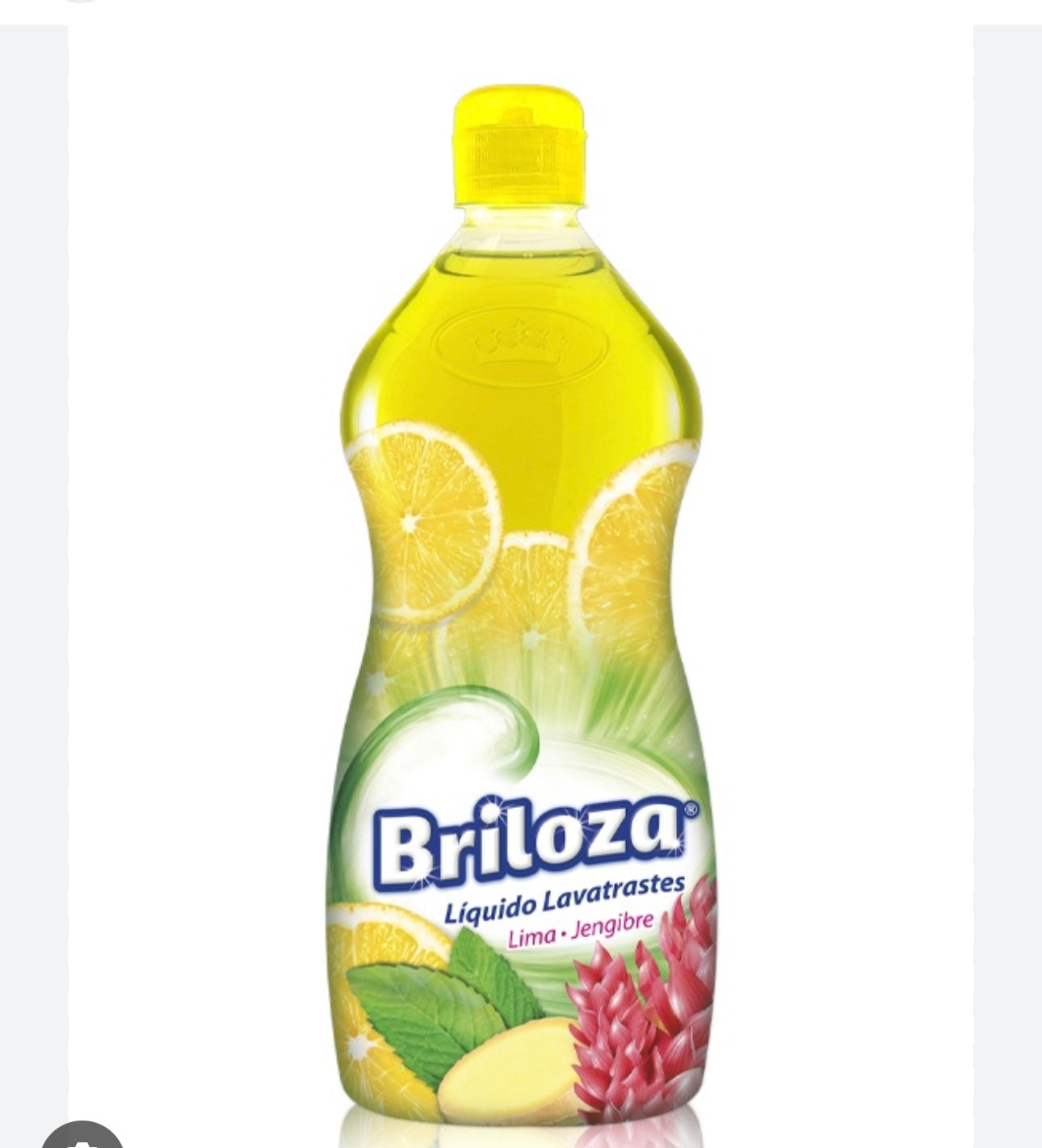 BRILOZA LAVATRASTES LIMA JENG 12/730