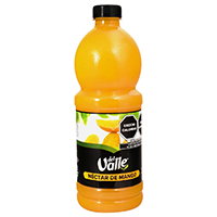 DEL VALLE PET MANGO 6/1L