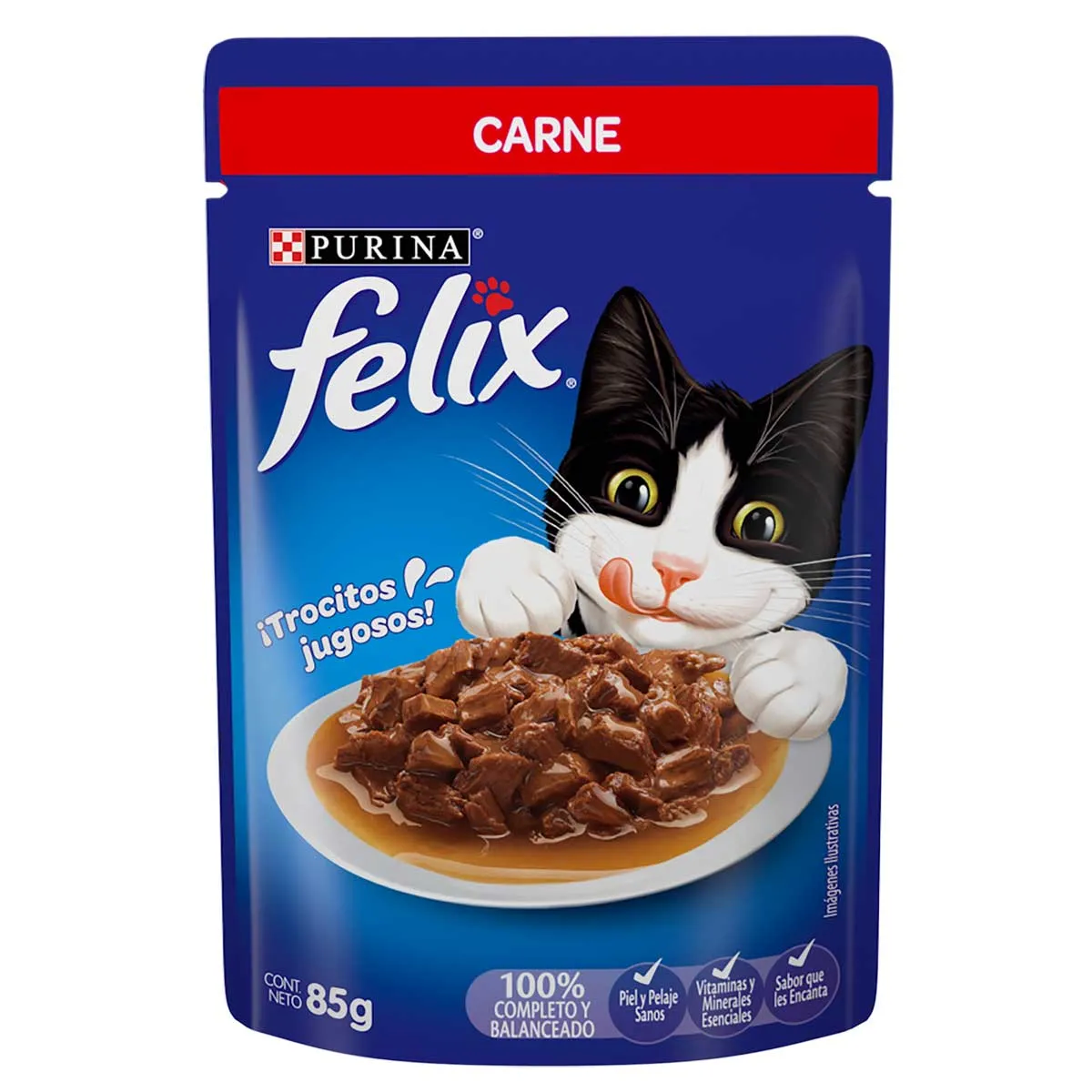 FELIX POUCH CARNE 12/1/85 GR