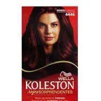 KOLESTON 12/1 4446 BORG VIBRAN