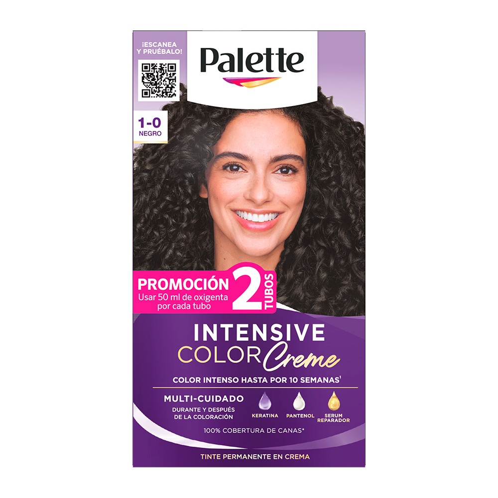 PALETTE 12/1 NEGRO 1 0
