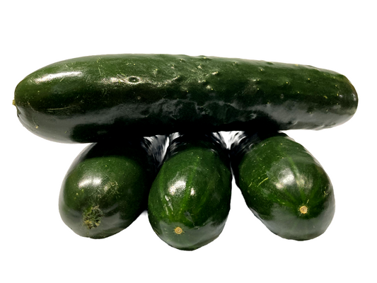 PEPINO