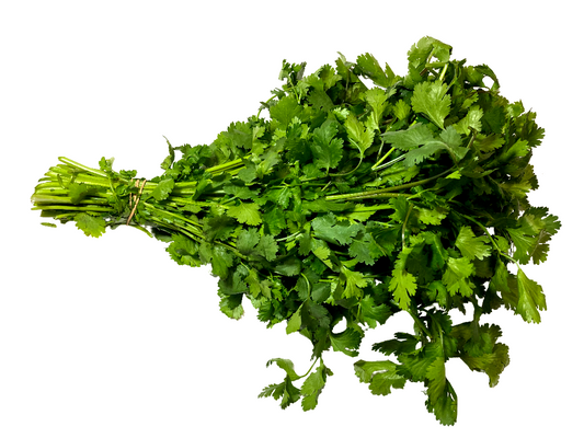 CILANTRO.