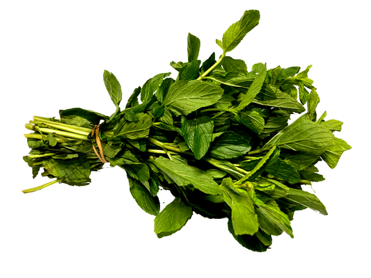 EPAZOTE