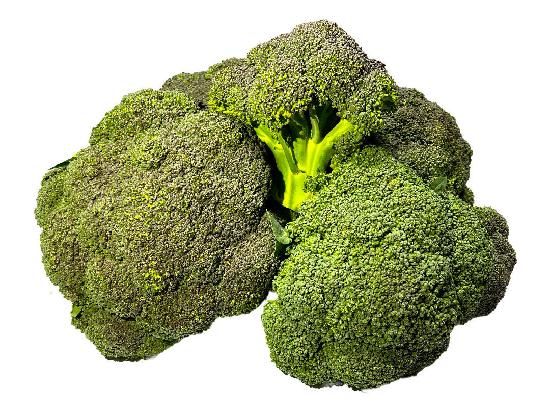 BROCOLI