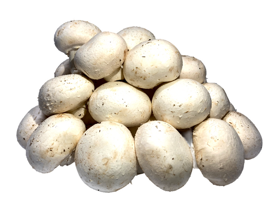 CHAMPINONES