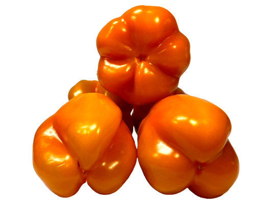 PIMIENTO NARANJA