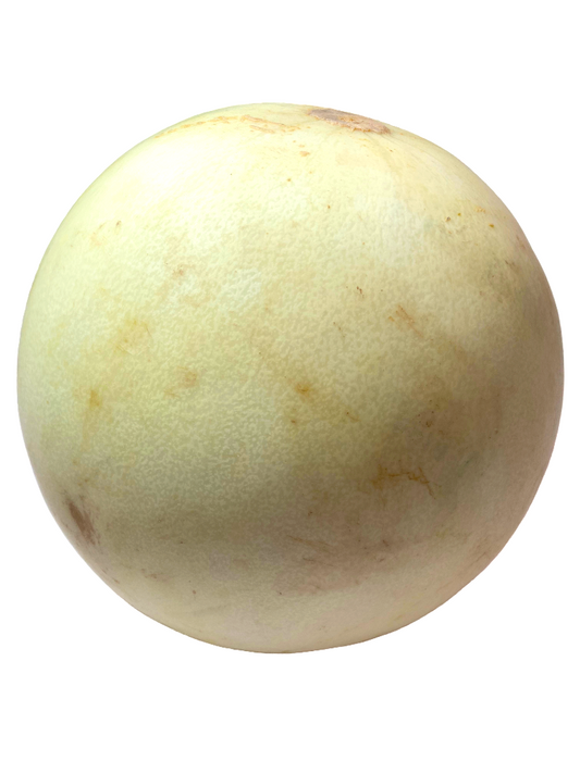 MELON VALENCIANA