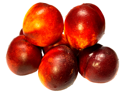 NECTARINA