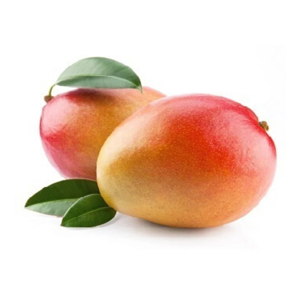 MANGO TOMY