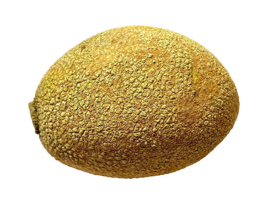 MAMEY