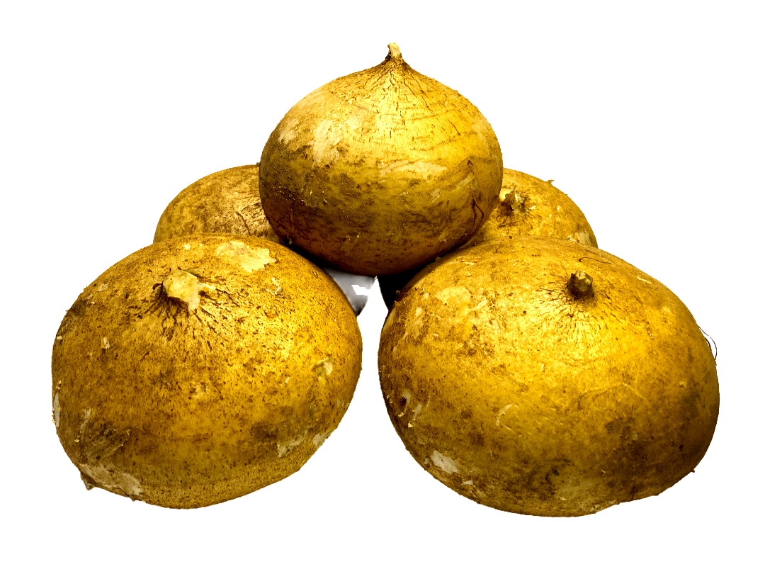 JICAMA