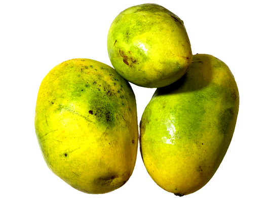 MANGO KEN