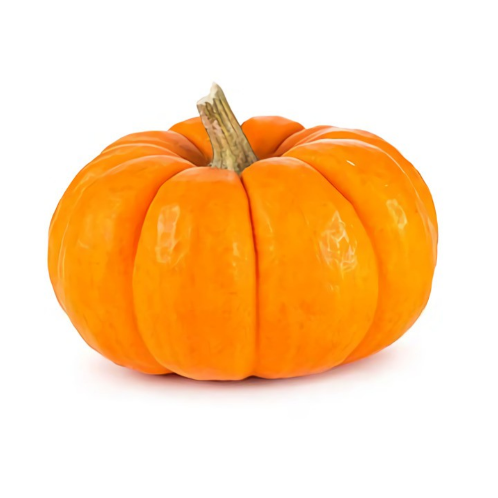 CALABAZA BRUJITA