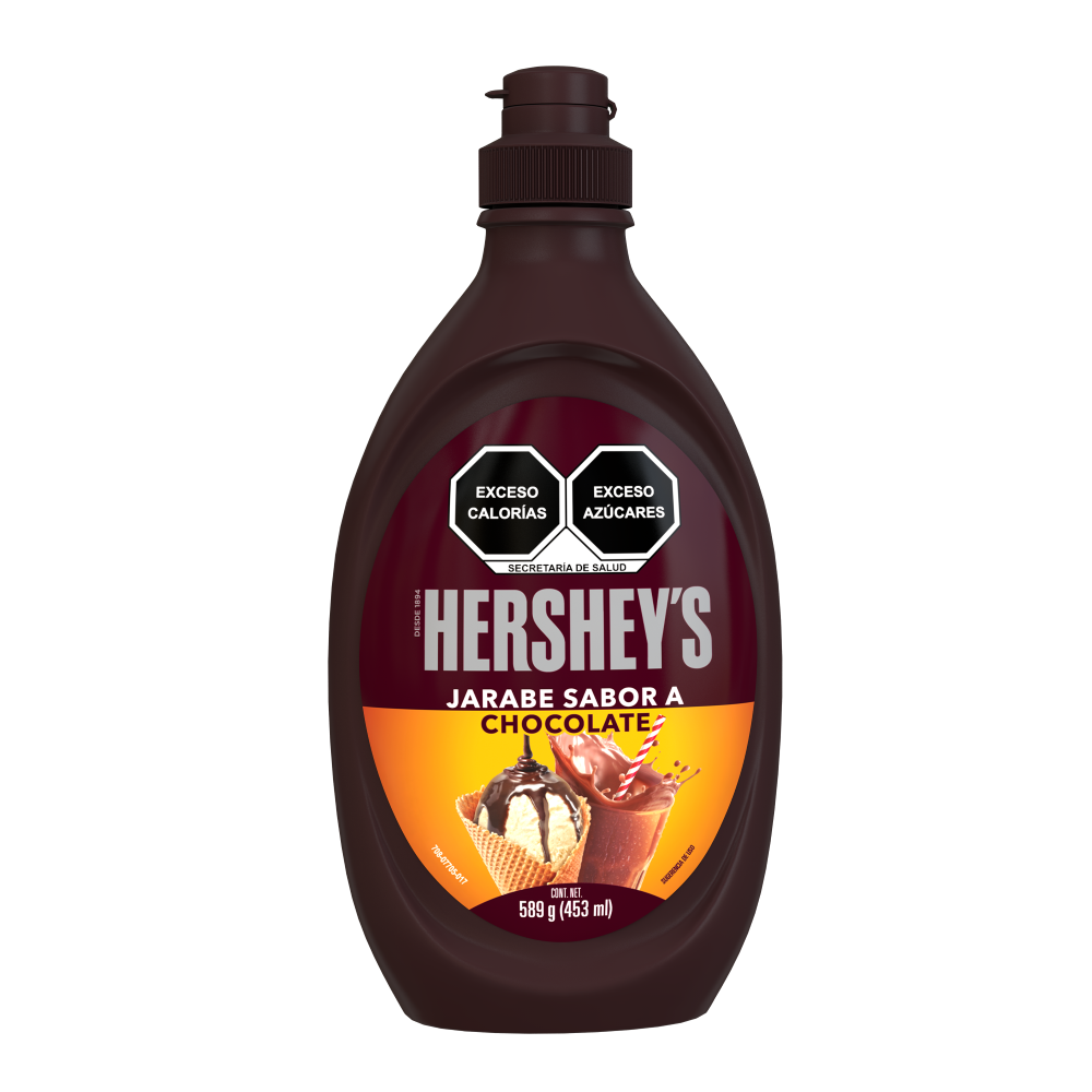 HERSHEYS SYRUP CHOCOLATE 24/589 GR