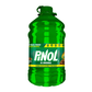 PINOL REG. 6/3.785 LT