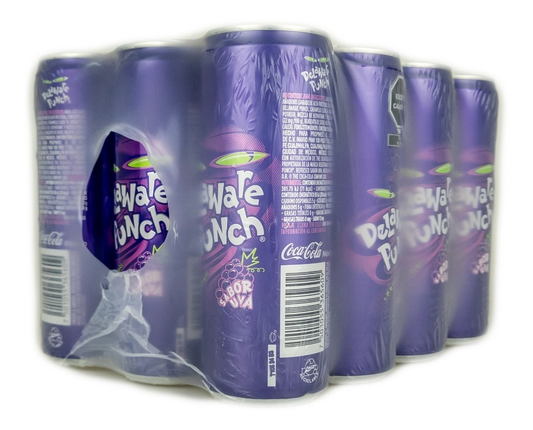 DELAWARE LEAN 12/355