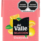 DEL VALLE GUAYABA TETRA 12/500 ML