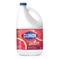 CLOROX LIMPIADOR DESIN FRUTOS 6/3800 ML