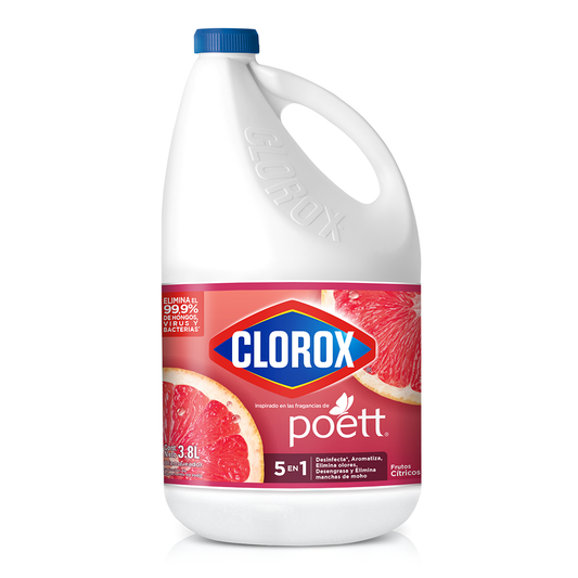 CLOROX LIMPIADOR DESIN FRUTOS 6/3800 ML