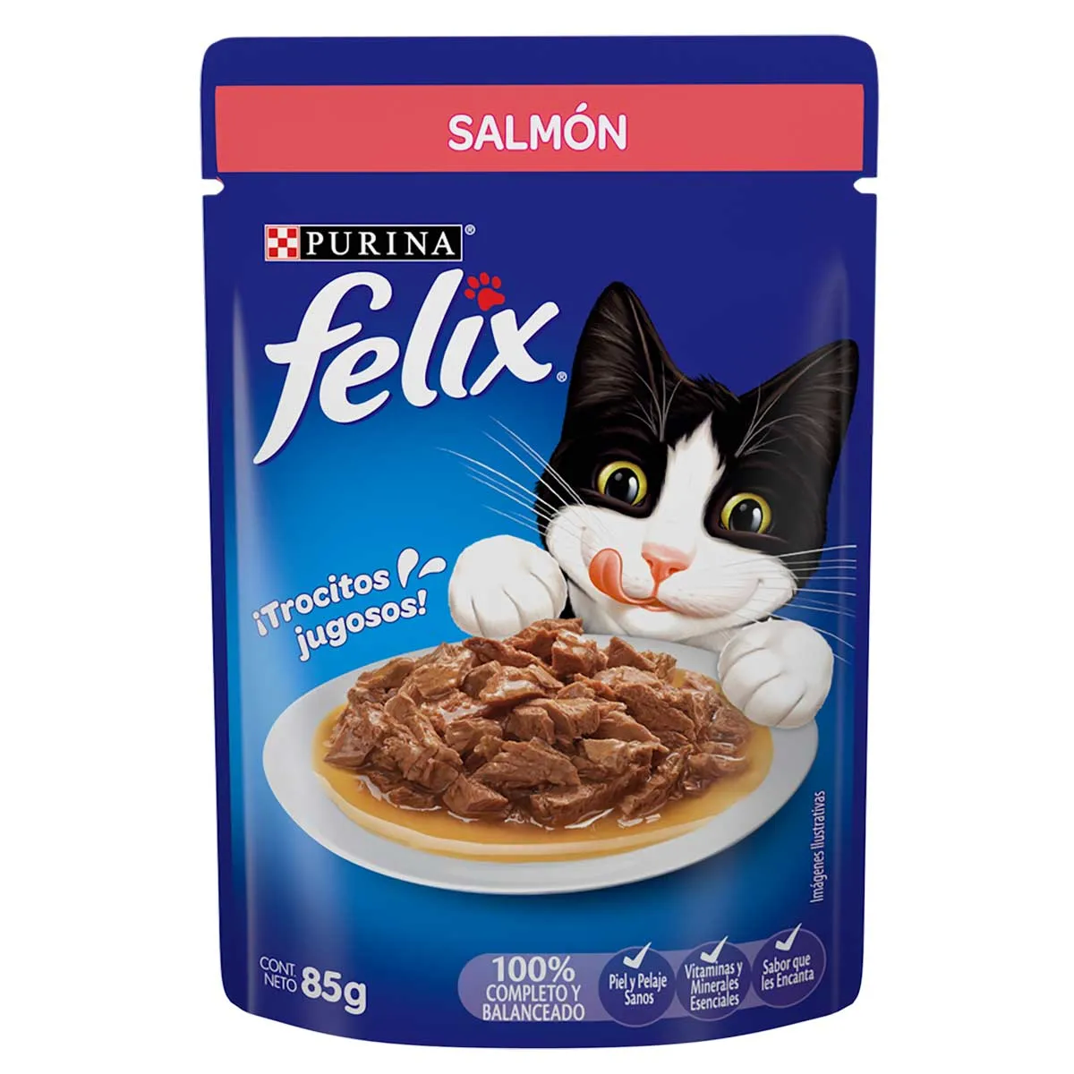FELIX POUCH SALMON  12/1/85 GR