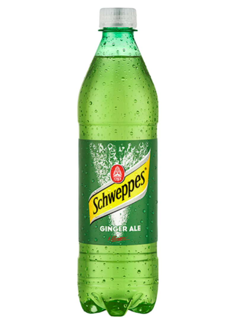GINGER SCHWEPPES 12/600ML