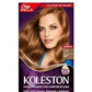 KOLESTON 12/1   77 CASTANO BAMBI