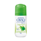 OBAO 24/65 GR ROLL MJ BAMBOO BREEZ.