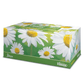 KLEENEX MANZANILLA 36/100 PZA
