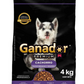 GANADOR PREMIUM CACHORRO 5/4 KG.