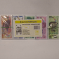 FABIOLA BILLETE CHICO 100/250 P