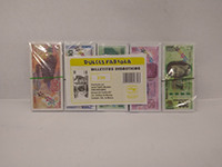 FABIOLA BILLETE CHICO 100/250 P