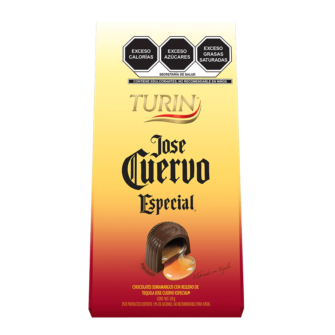 TURIN JOSE CVO ESP  12/12/10 GR
