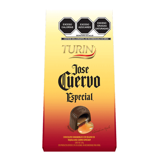 TURIN JOSE CVO ESP  12/12/10 GR